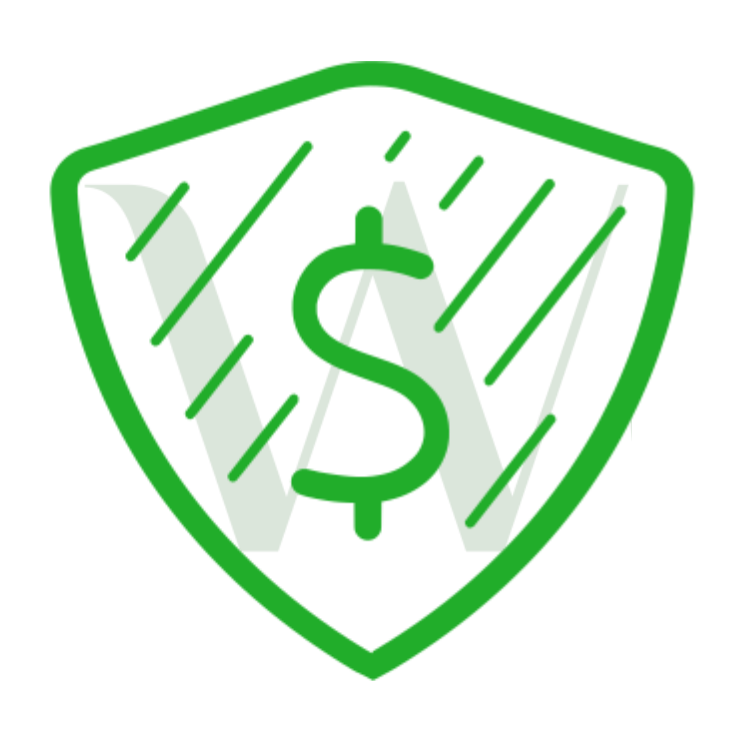 Worth Shield Financial Services